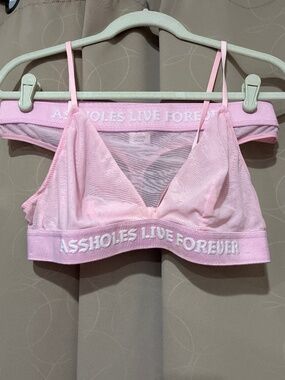 Assholes Live fovever Pink Sheer Bralette and Thong Set. NWOT.